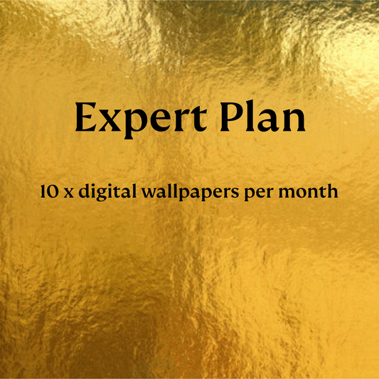 Expert Plan